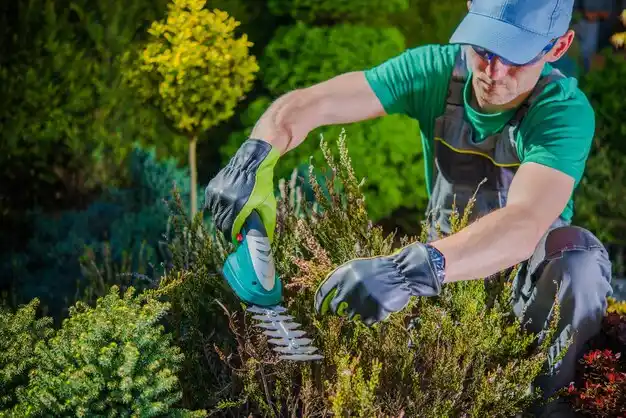 landscaping services Stryker
